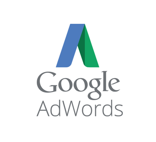 Posicionamiento SEM. Agencia Google Adwords