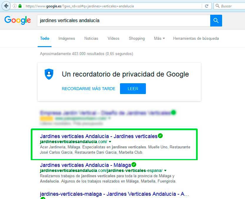 poscionamiento web marbella SEO Andalucía para ACER Jardinería