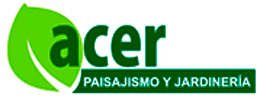Client Image